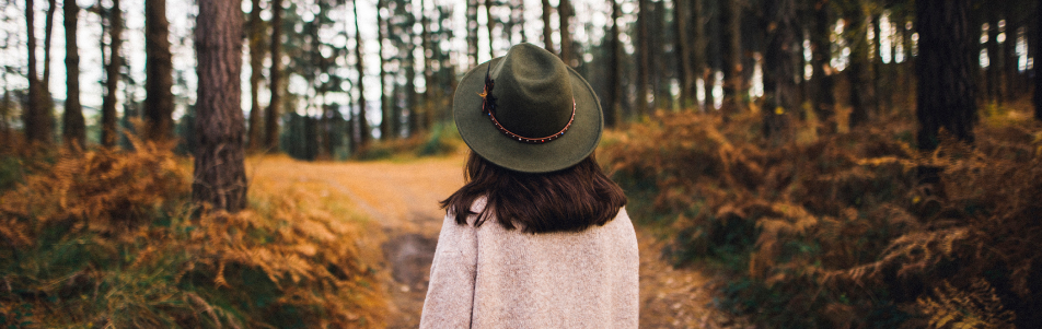 A person enjoying a walk in a forest